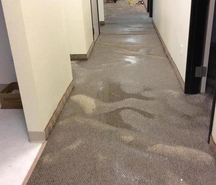 soaked carpet, flooded office building