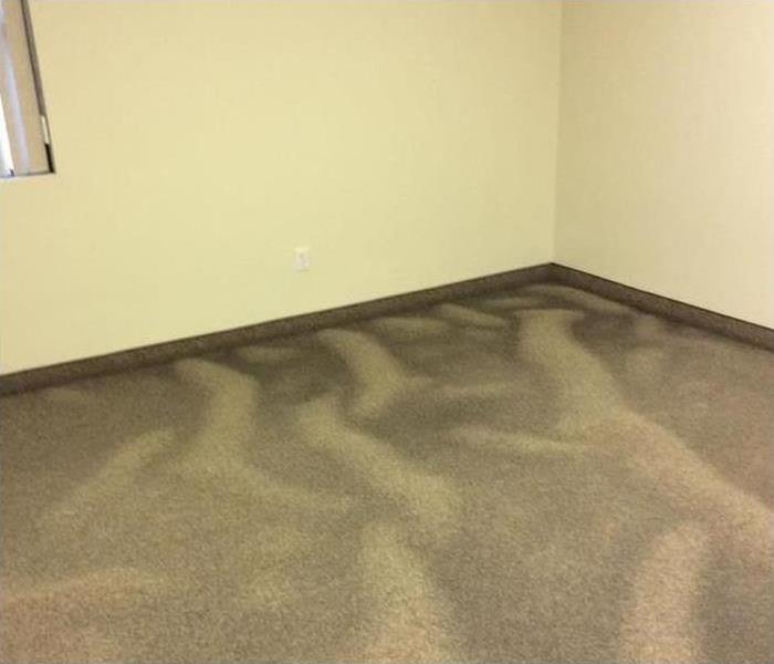 Wet carpet floor, severe flood in an office